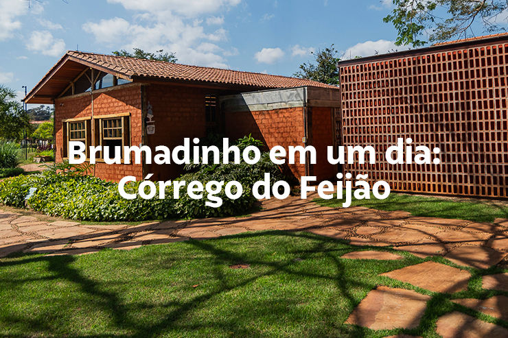 Brumadinho em um dia