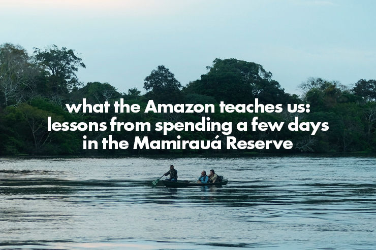 What the Amazon Teaches Us: Lessons from Spending a Few Days in the Mamirauá Reserve