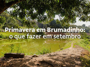 Primavera em Brumadinho: o que fazer na estação das flores