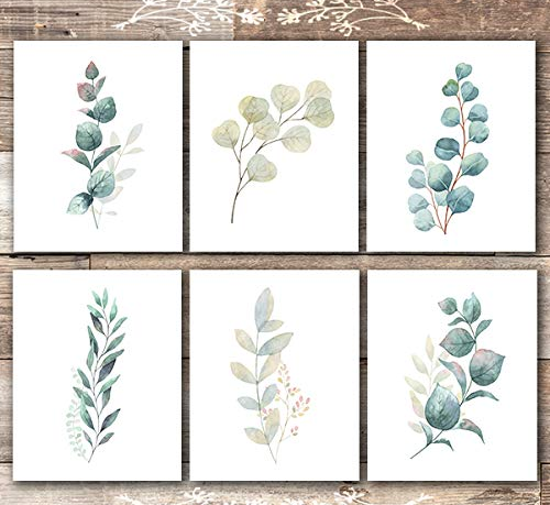 Botanical Prints