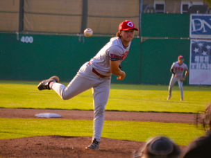 RED WINGS DROP TWO IN RAIN AT ELMIRA