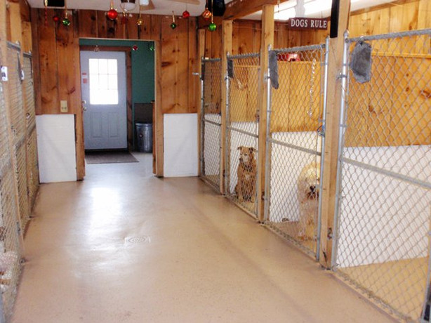 The inside kennels at the dog kennel Bed and Biscuit Country Boarding Inn in Amesbury, Massachusetts
