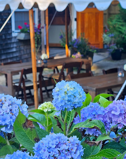 york room patio6.jpg