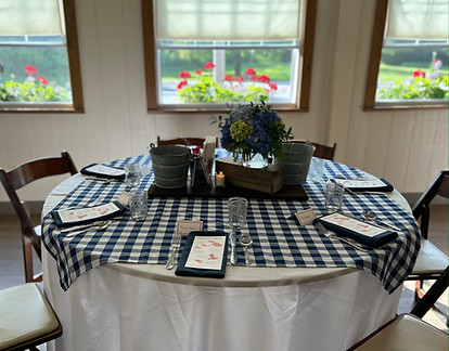 york room blue and white checked