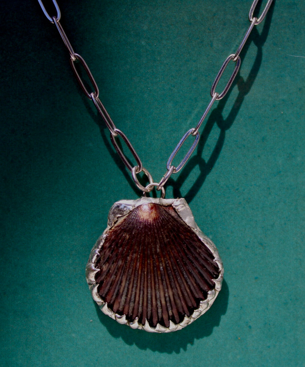 Brown shell 