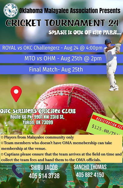 Cricket 24.png