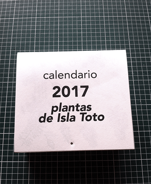 calendario isla toto.gif
