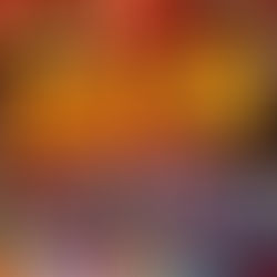 新機台登場通知（2025/12/8）