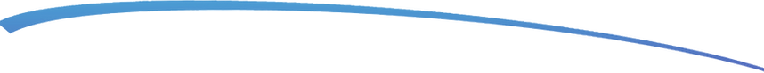 spalons swoosh blue.png