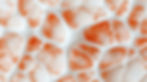 AdobeStock_1002794464.jpeg