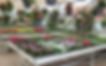 IMG_2317[1]_edited.jpg