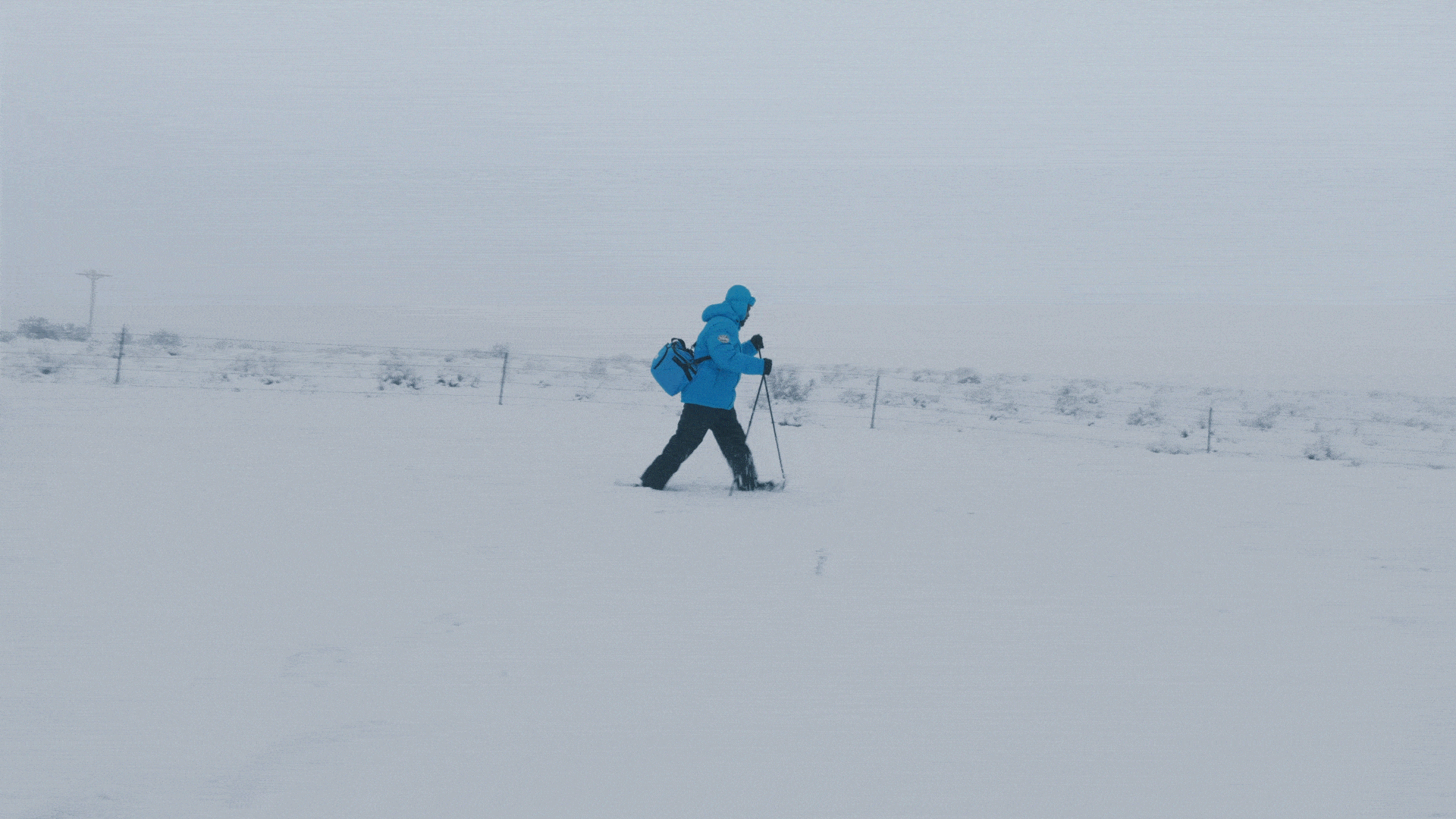 6268T_TexPat_06_agency_240411_1800.gif.gif