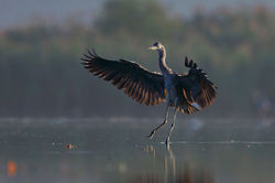 IMG_1388e