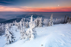 _MG_0587-Edit-2