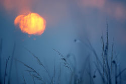 IMG_6921e
