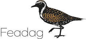 Text "Feadag" and a sketch of a plover