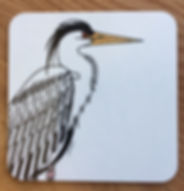 COASTER - Heron- Individual
