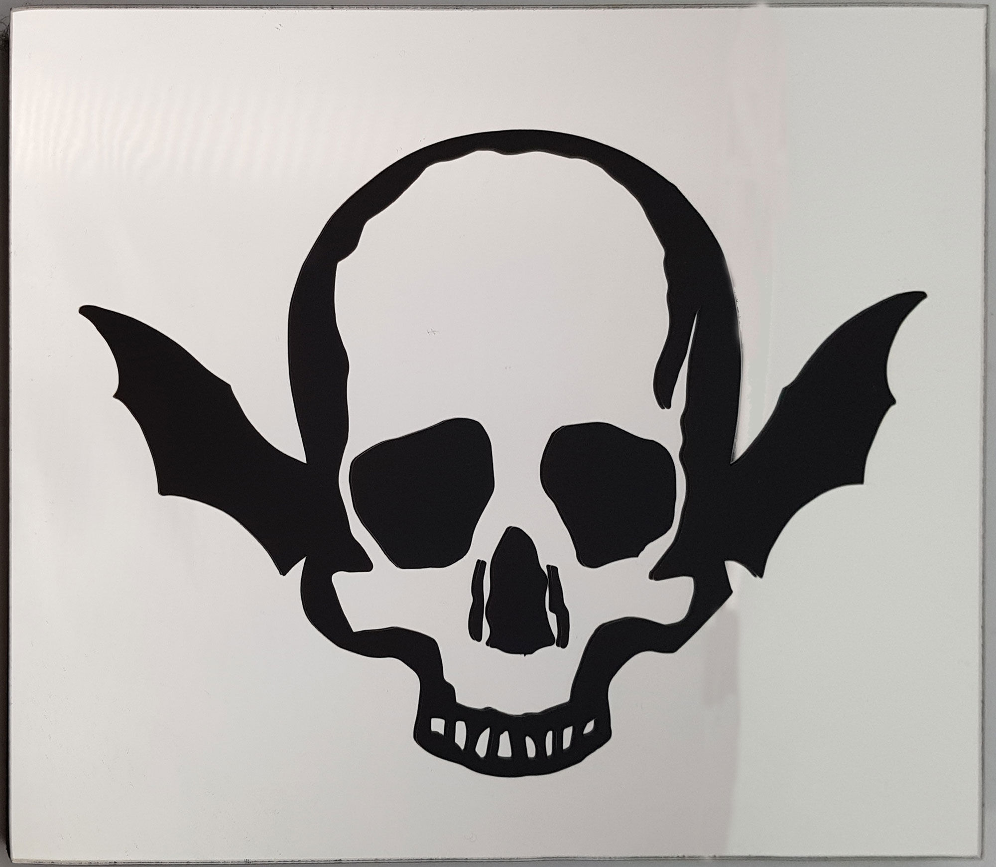 Mirror Wing Skull