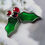 Thumbnail: Front view of a red and green holly leaves holiday pin.