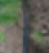 shutterstock_1328668637_edited.jpg