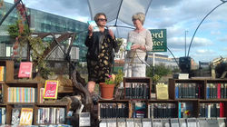 20031977_1627250707299046_16561228425184