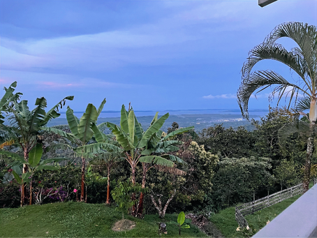 Boquete and Bocas del Toro