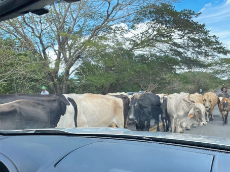 Nicaragua - driving north
