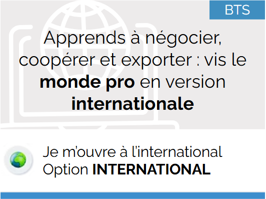 Apprends à négocier, coopérer et exporter : vis le monde pro en version internationale
