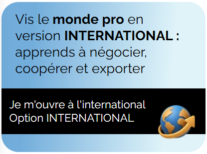 Apprends à négocier, coopérer et exporter : vis le monde pro en version internationale
