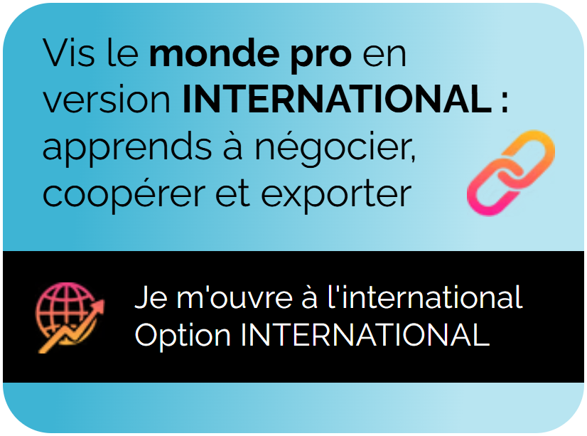 Apprends à négocier, coopérer et exporter : vis le monde pro en version internationale
