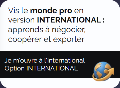 Apprends à négocier, coopérer et exporter : vis le monde pro en version internationale