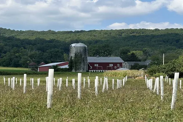 Announcing the inaugural Mid-Atlantic Agroforestry Conference