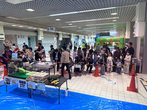 住之江ボートレース場【ふれあい移動水族館】