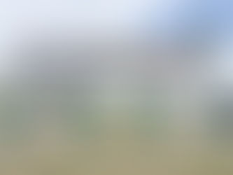 大阪府泉南ロングパークでのふれあい移動水族館