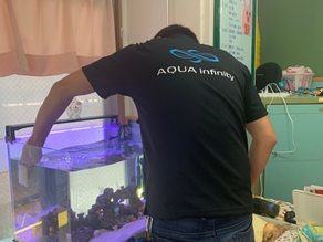 水換えについて