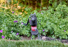 Artists Garden 2025-Ravine Retreat 46.jpg