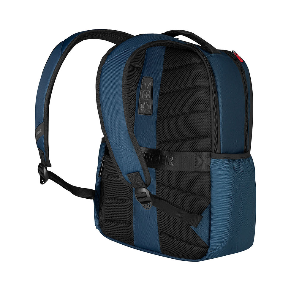 Thumbnail: Wenger XE Professional 15.6" Laptop Backpack