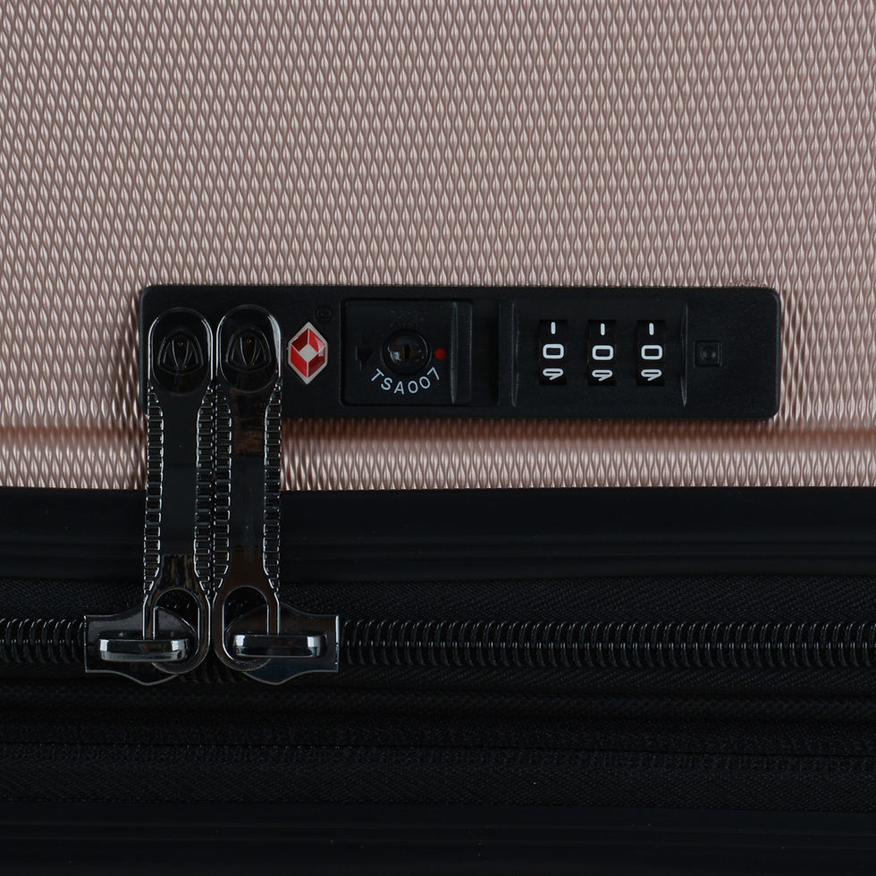Thumbnail: Traveler's Choice Art of Travel Harside Spinner Trolley Case