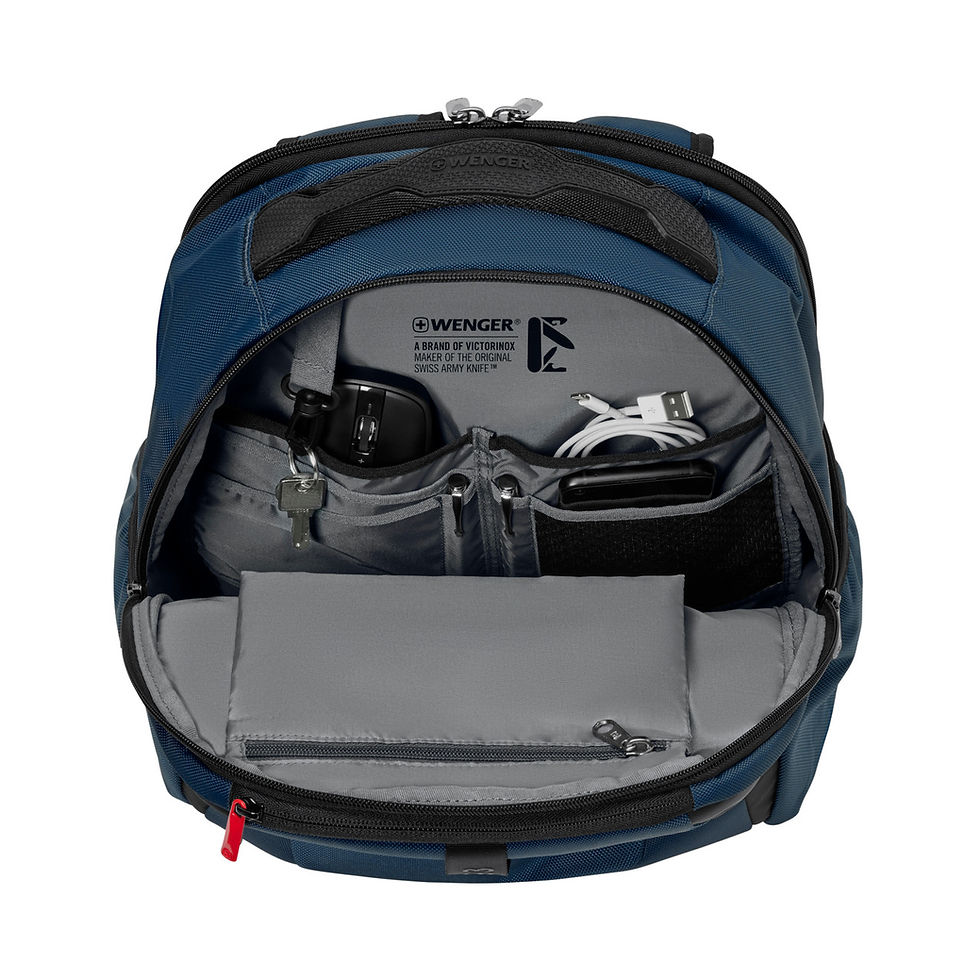 Thumbnail: Wenger XE Professional 15.6" Laptop Backpack