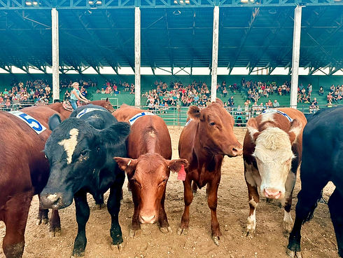 team sorting_edited.jpg