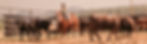 460121124_839075531749465_9040510078204272488_n (1)_edited_edited_edited.jpg