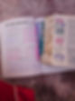 Bible Journaling Christele Bethsey.jpg