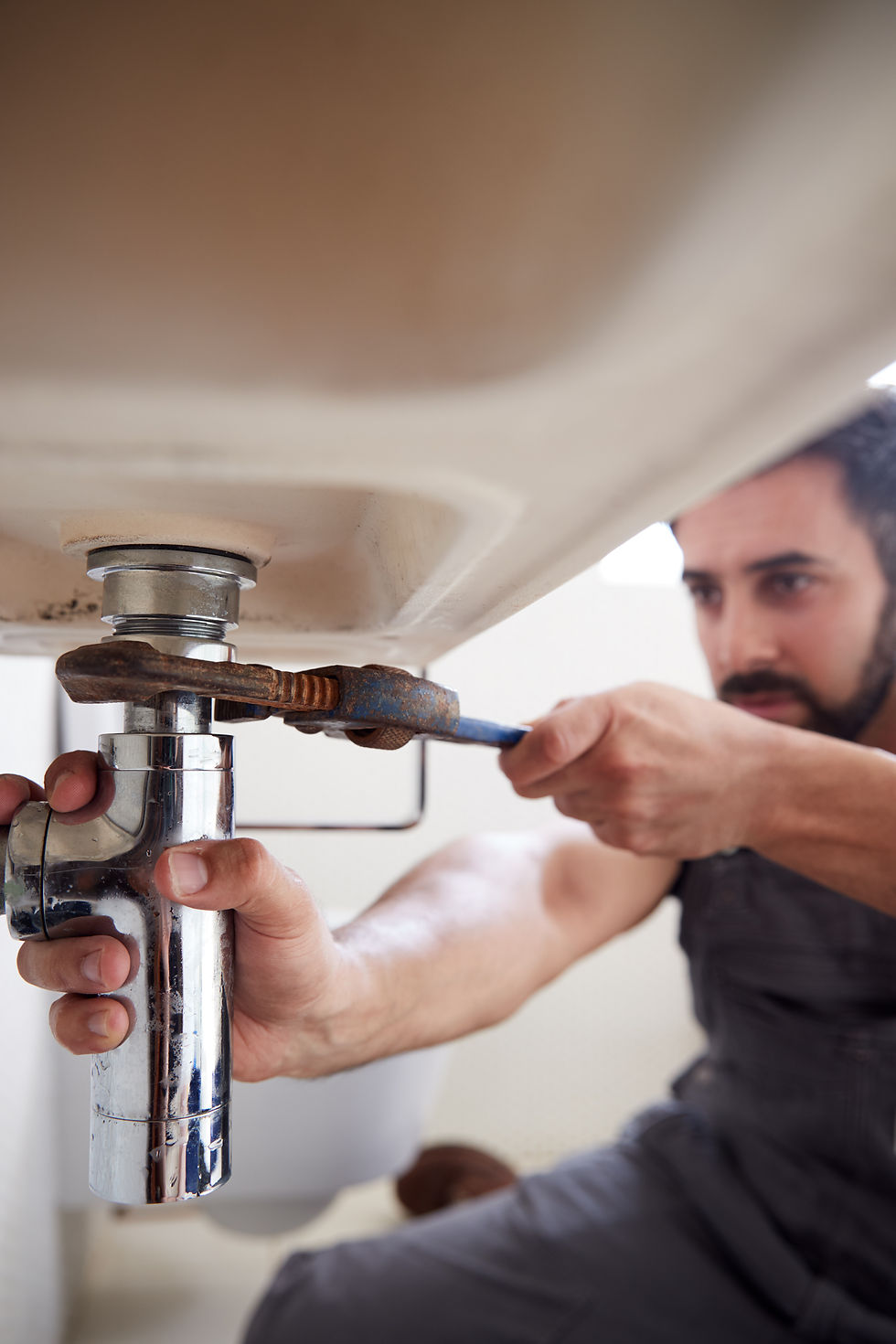 Male plumber fixing sink plumbing