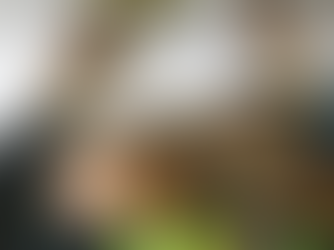 Why Annual Smoke Alarm Safety Checks Are So Important