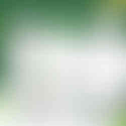 ยาครีมธัญพัฒน์ผ่านมาตรฐาน อย. เลขที่ G309/67 ปลอดภัย ตรวจสอบได้จริง