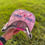 Miniatura: 2025 - Limited Edition - CCHS - Premium Country Trucker Cap