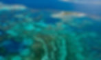 Geraldton