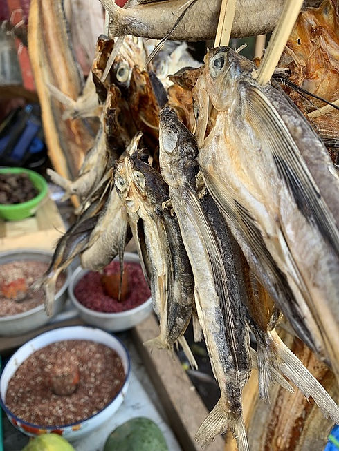 dry-fish-4517634_960_720.jpg