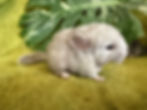 Thumbnail: Sloan & Sunya 