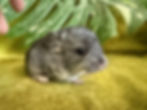 Thumbnail: Sloan & Sunya 